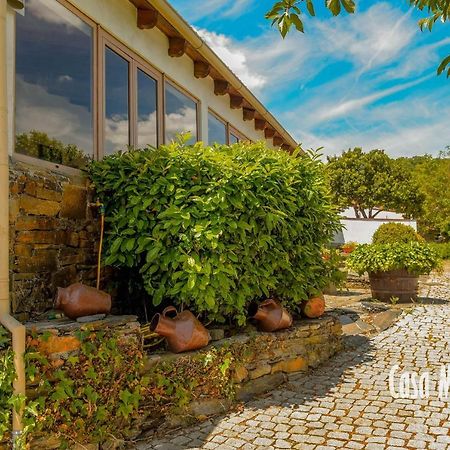Casa Machado Guest House Braganca Bagian luar foto