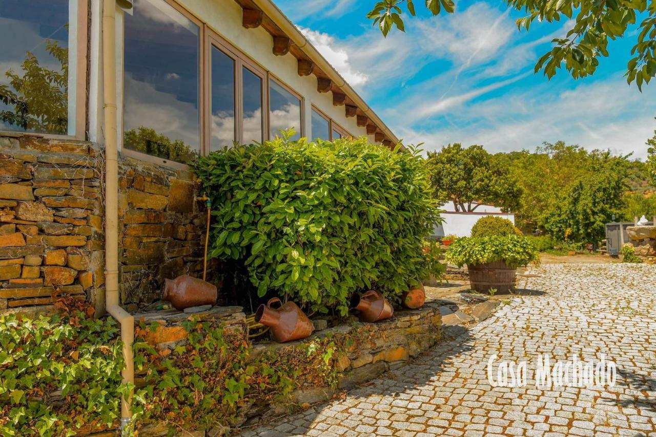 Casa Machado Guest House Braganca Bagian luar foto