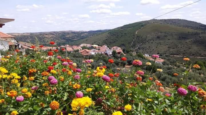 Casa Machado Guest House Braganca Bagian luar foto