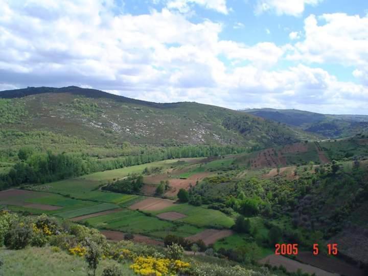 Casa Machado Guest House Braganca Bagian luar foto